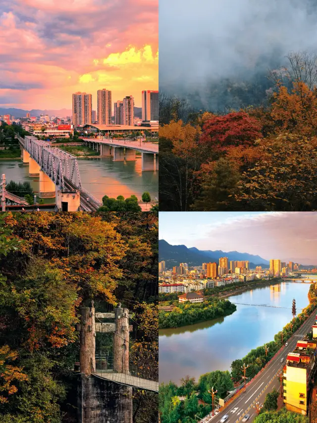 Am I dreaming? There is such a beautiful forest near Chengdu. 