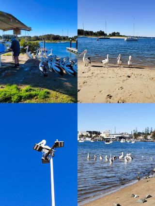 Port Macquarie 여행 가이드 | Port Macquarie에서 꼭 해야 할 것들
