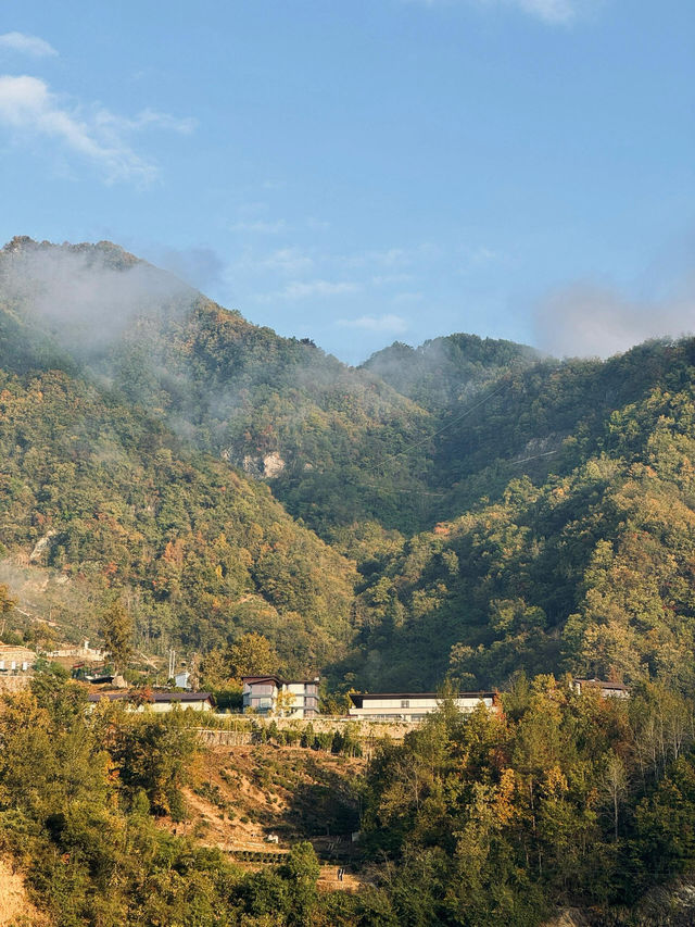 小石山居的秋天美得像幅畫。