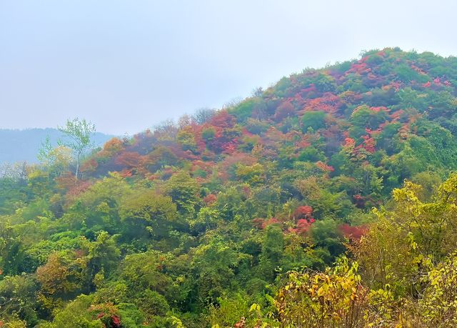 西安‧周至耿峪免費賞紅葉。