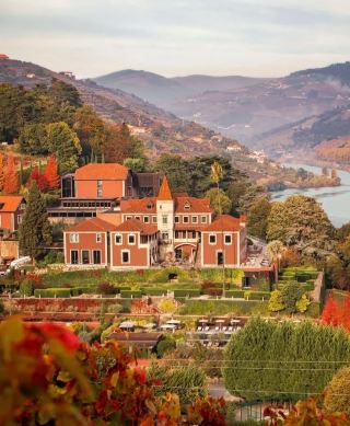 Six Senses Portugal | Отправьтесь в путешествие по потрясающим виноградникам.