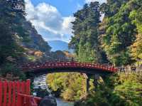 Travel Experience to Nikko's Toshogu Shrine on November 3rd