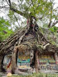 資陽｜樂至報國寺｜千年古剎，文化聖地。