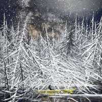 冷酷仙境,極地孤行