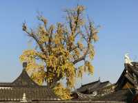 報國寺。