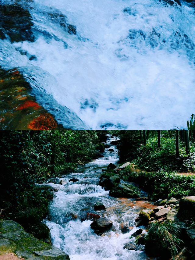探秘南昌後花園：梅嶺之美。