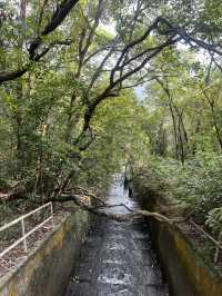 大欖郊野公園｜麥理浩徑第十段千島湖清景台