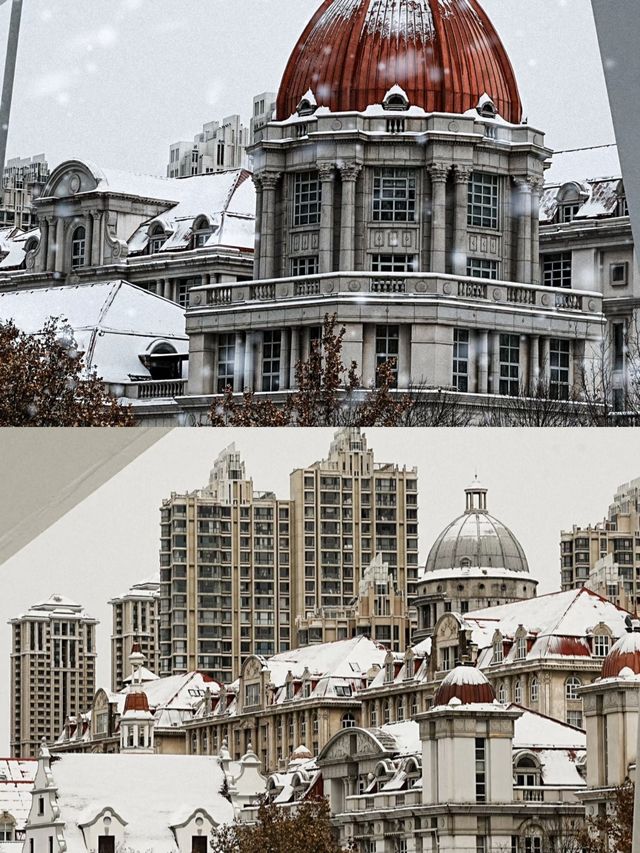 天津下雪了，喊你來賞雪