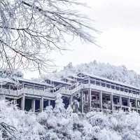 白雪皑皑·山巅美景大放送。