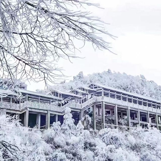 白雪皑皑·山巅美景大放送。