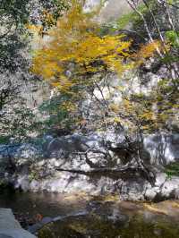 介休綿山
