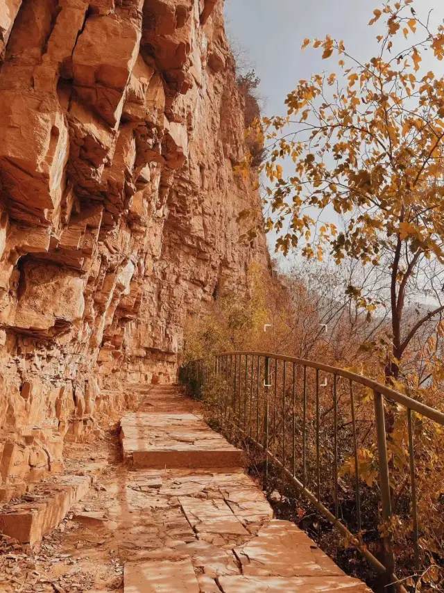 6일간의 캄보디아 여행 필수 관광지 대공개