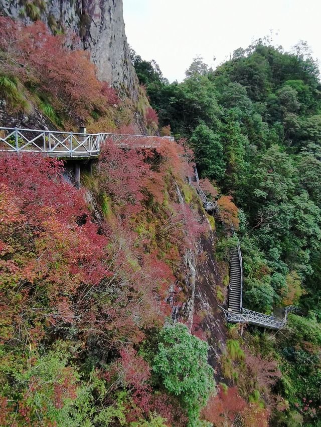浙南遊4 - 2024年12月6日