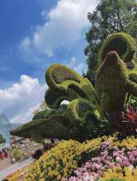 南岸秘密花園——重慶南山植物園