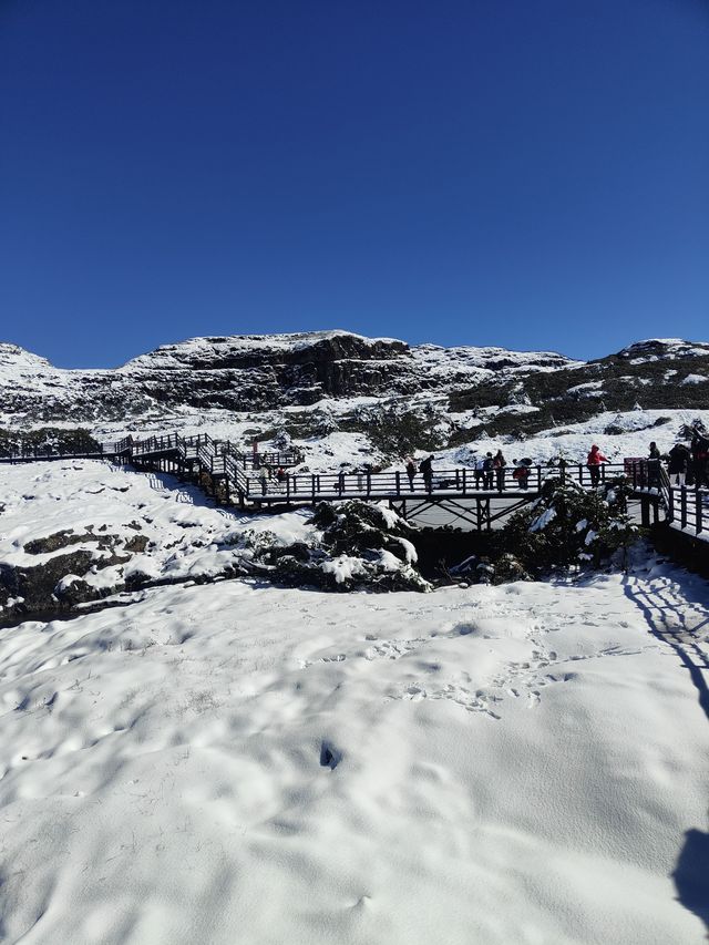 雲南昆明轎子雪山｜治癒你的巍峨壯麗雪世界