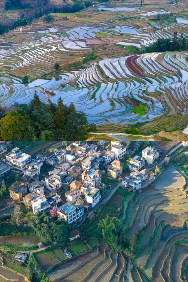 계단식 논 옆, 운해 위, 고대 마을 속 비밀스러운 홈스테이