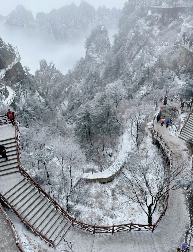 雪後的老君山也太美了吧