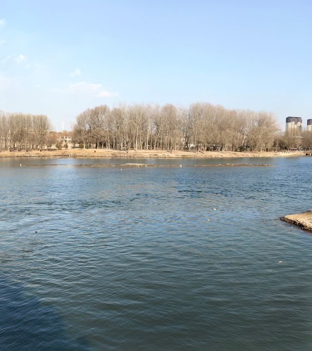 冬日淺遊永濟公園
