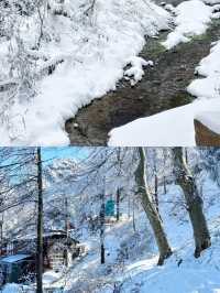 冬天一定要去一次廬山!!詳細攻略（含花銷