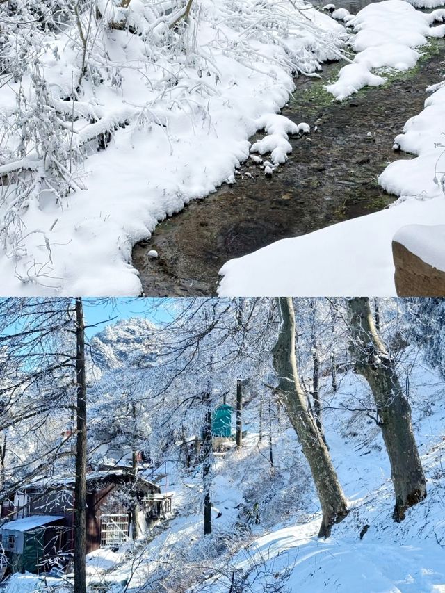 冬天一定要去一次廬山!!詳細攻略（含花銷