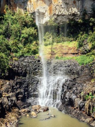 Encounter Springbrook, a dreamland hidden in the rainforest