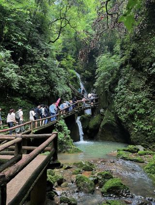 A trip to Chengdu is not complete without a visit to Mount Qingcheng. Save this guide!