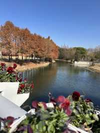 隱藏在城市中的寶藏公園，景美人少，少人知曉