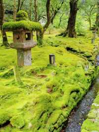 日本小松：工程機械行業的佼佼者