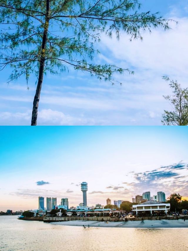 探秘非洲心臟：坦桑尼亞達累斯薩拉姆之旅