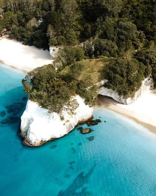 A real-life Narnia! New Zealand's Cathedral Cove is stunning!