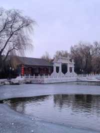 春節讀紅樓遊大觀園  體會古典文學藝術