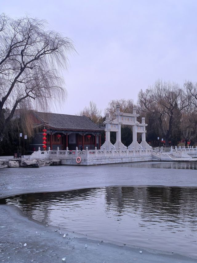 春節讀紅樓遊大觀園  體會古典文學藝術