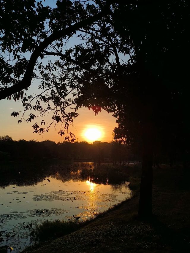 白雲湖公園最全遊玩攻略，帶娃、拍照必看！