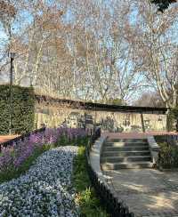 魯迅公園|藏在魔都市區內的寶藏公園一年四季都有著不同的景色