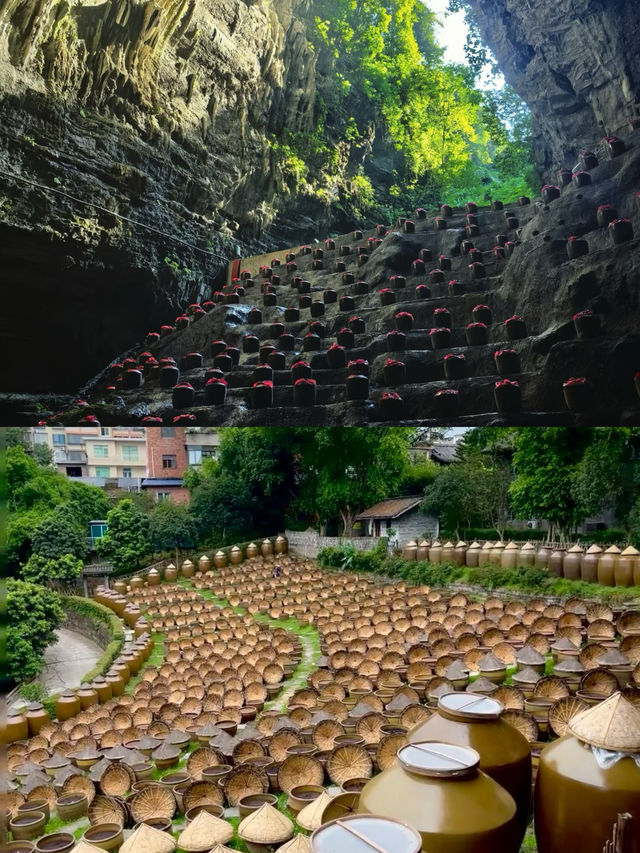 瀘州 2 天 1 晚深度遊 | 酒城打卡，喝懂中國白酒！