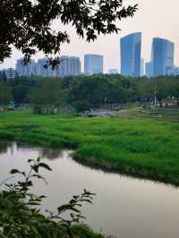 "躺平"就好啦城市公園的秘密邊界