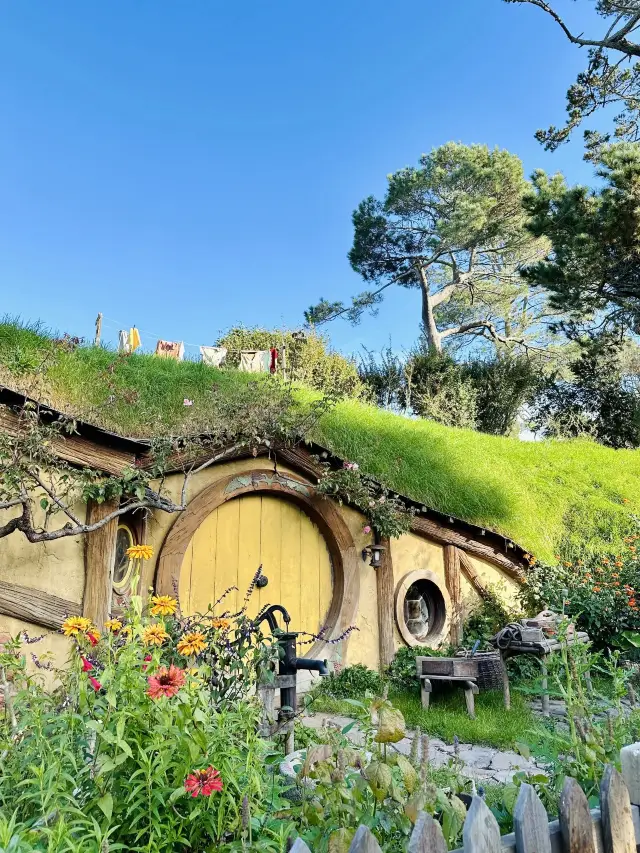 9-Day New Zealand Tour: Explore Both Islands with No Backtracking