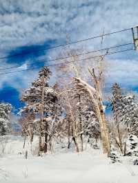 3日暢遊雪鄉等地 滑雪行程全攻略