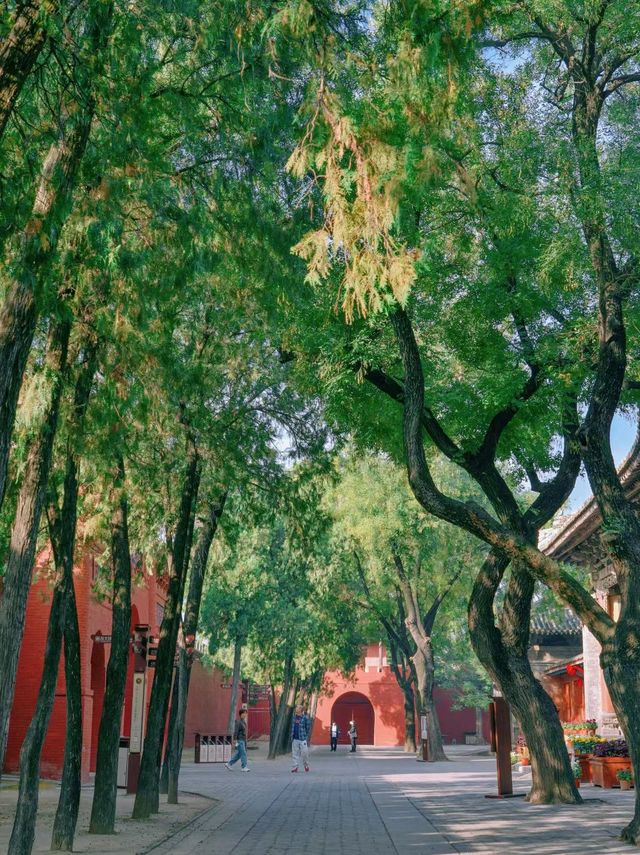 運城｜來幾次都看不厭的關帝廟