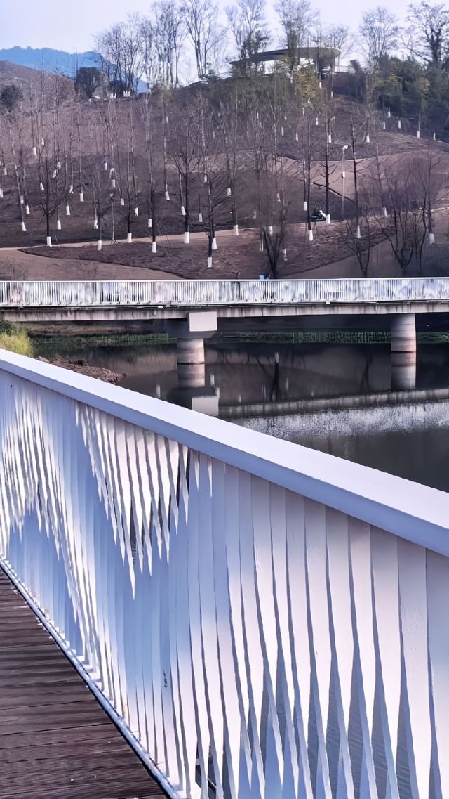 達州，一座被美食和山水「耽誤」的寶藏城市！