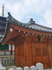 四天王寺深度遊覽攻略：游客親身體驗