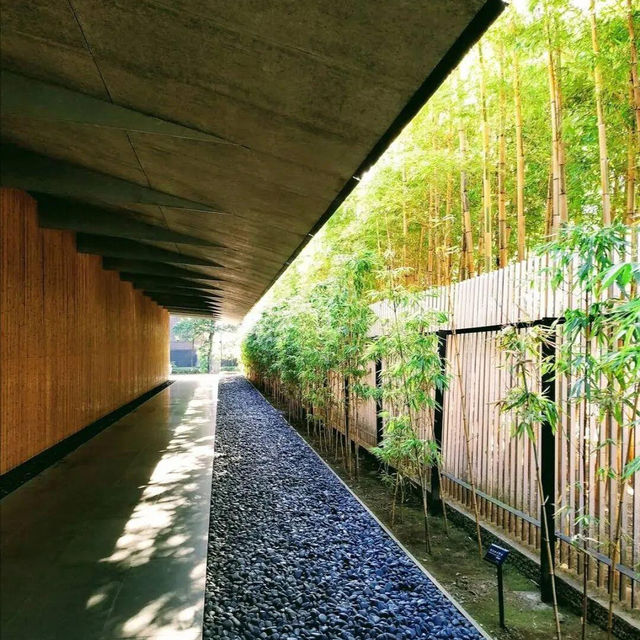 🇯🇵 東京 · 探館｜美術館星羅棋佈