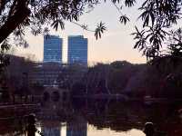 Lu Xun Park in Shanghai: A Must-Visit in China 🇨🇳🌳