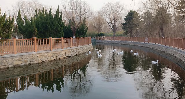 探秘滄州獅城公園｜感受獅城的魅力