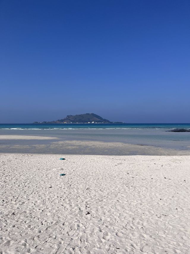 韓國4日探秘 森林之旅不打烊