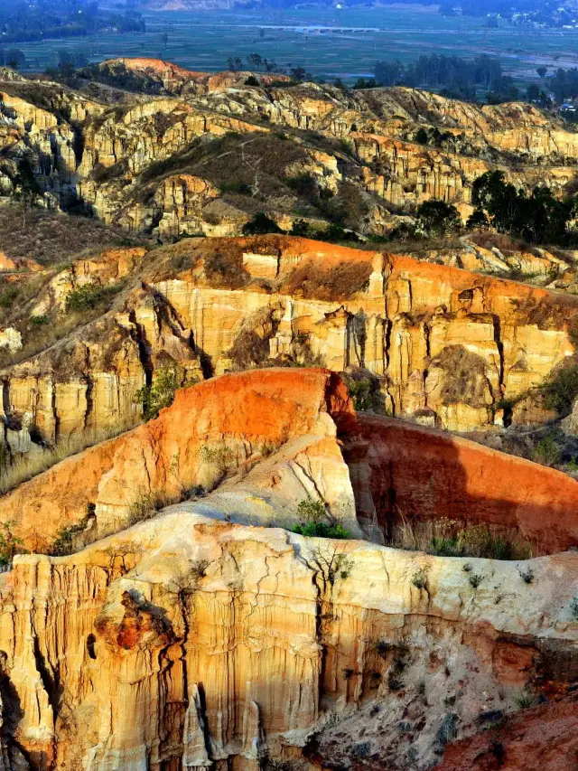 8일 동안 윈난 위안머우-위안양-멍쯔를 여행하는 매우 유용한 공략, 지금 바로 수집하세요