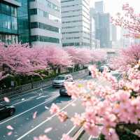 別等了！三月一定要來趟西安錯過再等一年