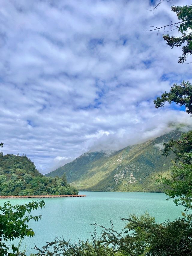 3日玩轉西藏林芝-魯朗-大峽谷保姆級攻略快收藏