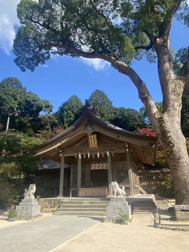 日本旅行 人均4k不心疼超划算