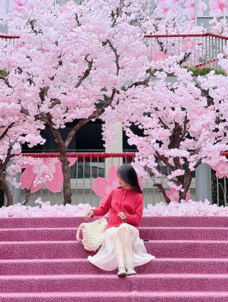 Guangzhou Metro Direct: Free Entry to a Stunning Cherry Blossom Town